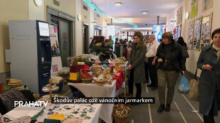 Škodův palác ožil vánočním jarmarkem