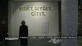 V Galerii 1 uvidíte, uslyšíte a ucítíte výstavu Amelie Slavíkové