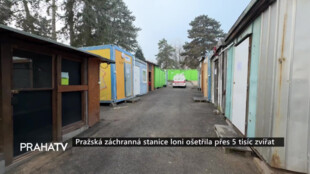 Pražská záchranná stanice loni ošetřila přes 5 tisíc zvířat