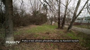 Praha 4 řeší oživení přírodního pásu na Kavčích horách