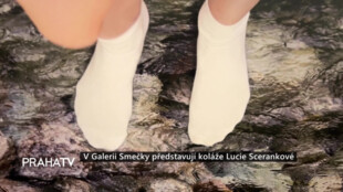 V Galerii Smečky představují koláže Lucie Scerankové