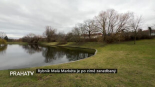 Rybník Malá Markéta je po zimě zanedbaný