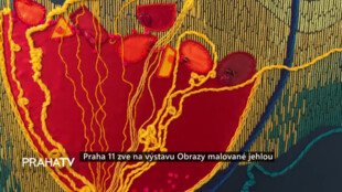 Praha 11 zve na výstavu Obrazy malované jehlou