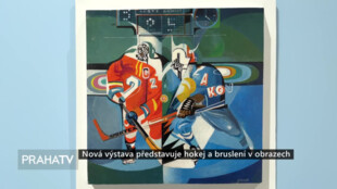 Nová výstava představuje hokej a bruslení v obrazech