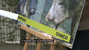 V pražské Zoo se konaly křtiny