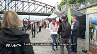 K volbám do Europarlamentu s růžovým vínem