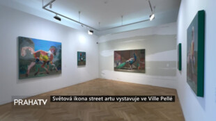 Světová ikona street artu vystavuje ve Ville Pellé