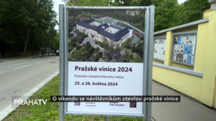 O víkendu se návštěvníkům otevřou pražské vinice