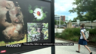 Třináctka láká na venkovní výstavu fotografií