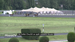 Ve Velké Chuchli se opět rozběhli klusáci