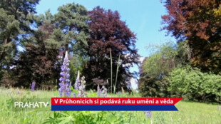 V Průhonicích si podává ruku umění a věda