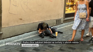 Praha chce zakázat žebrání se zvířaty v ulicích města