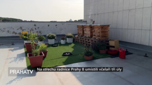 Na střechu radnice Prahy 8 umístili včelaři tři úly