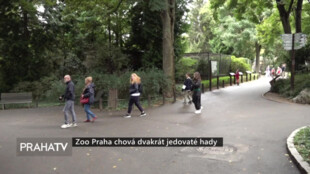 Zoo Praha chová dvakrát jedovaté hady