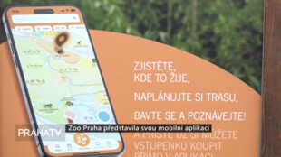 Zoo Praha představila svou mobilní aplikaci