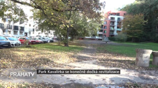 Park Kavalírka se konečně dočká revitalizace