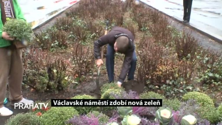 Václavské náměstí zdobí nová zeleň