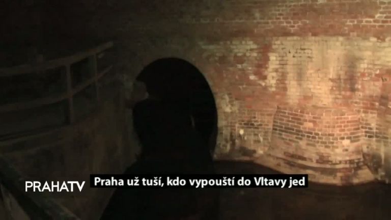 Praha už tuší, kdo vypouští do Vltavy jed