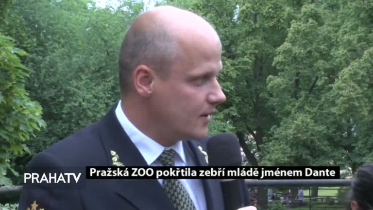 Pražská ZOO pokřtila zebří mladě jménem Dante