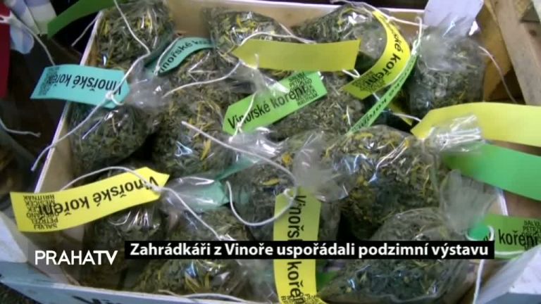 Zahrádkáři z Vinoře uspořádali podzimní výstavu