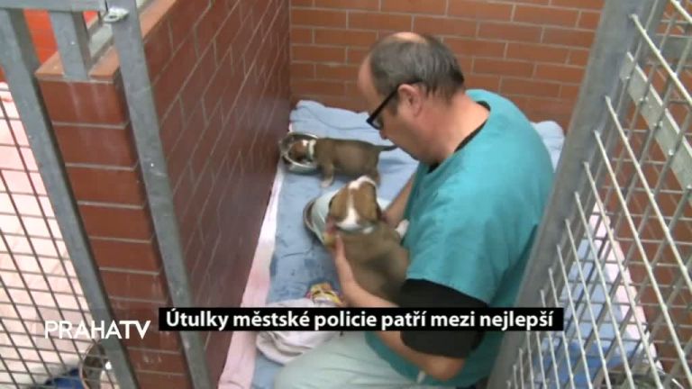 Útulky městské policie patří mezi nejlepší