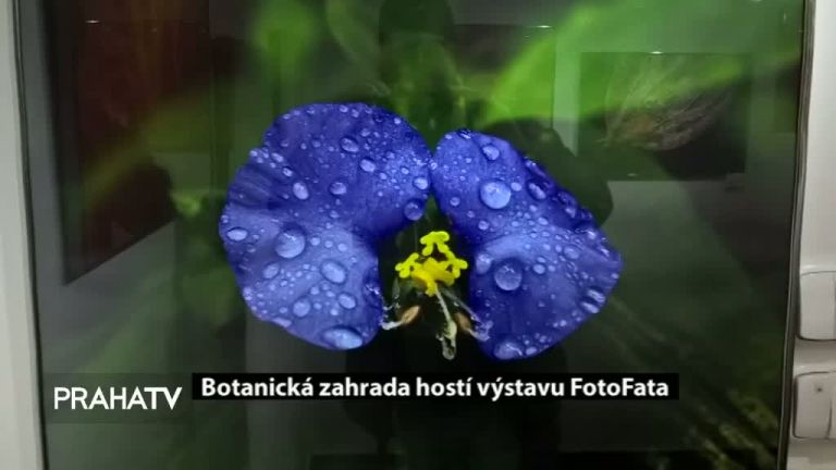 Botanická zahrada hostí výstavu FotoFata