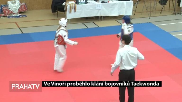 Ve Vinoři proběhlo klání bojovníků Taekwonda