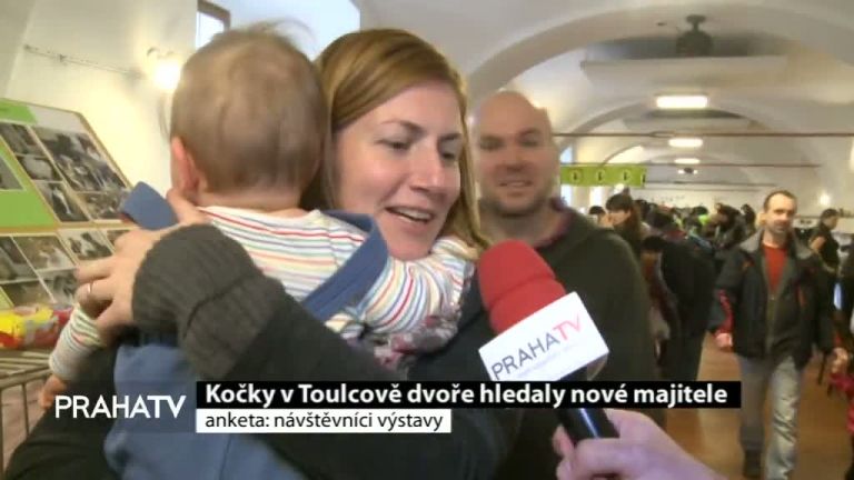 Kočky v Toulcově dvoře hledaly nové majitele