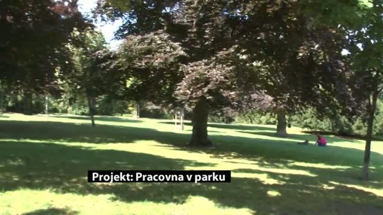 Projekt Pracovna v parku