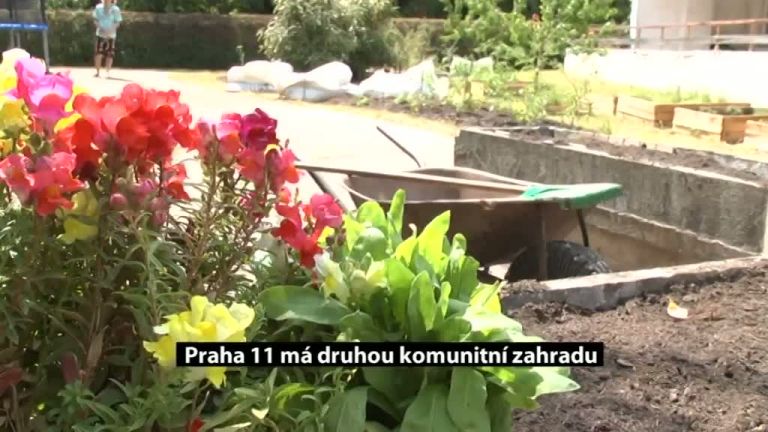 Praha 11 má druhou komunitní zahradu