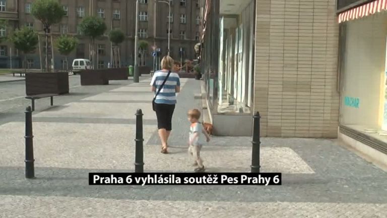 Praha 6 vyhlásila soutěž Pes Prahy 6