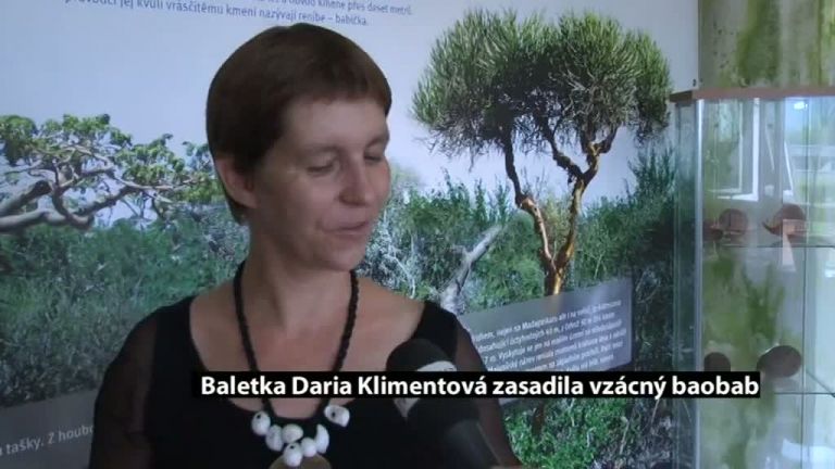 Baletka Daria Klimentová zasadila vzácný baobab
