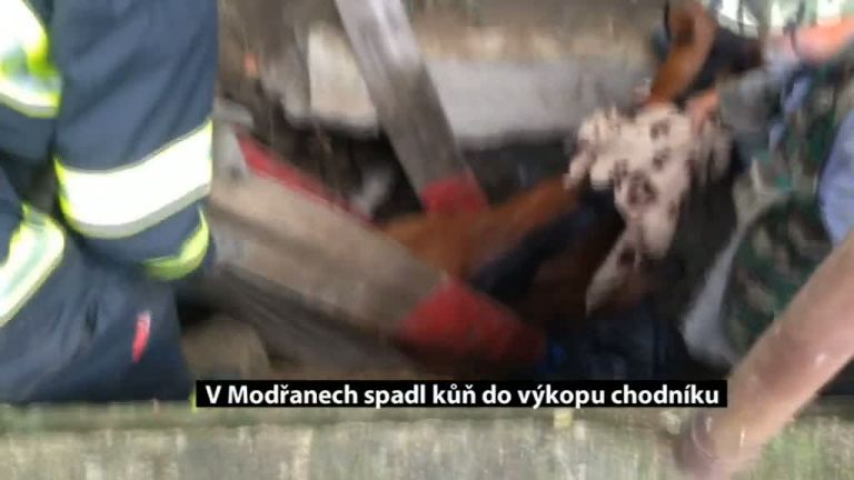 V Modřanech spadl kůň do výkopu chodníku