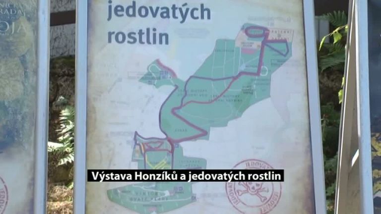 Výstava Honzíků a jedovatých rostlin