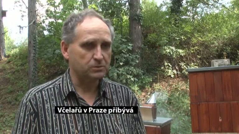 Včelařů v Praze přibývá