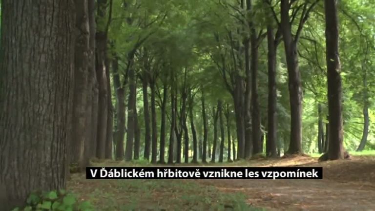 V Ďáblickém hřbitově vznikne les vzpomínek