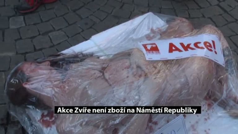 Akce Zvíře není zboží na Náměstí Republiky