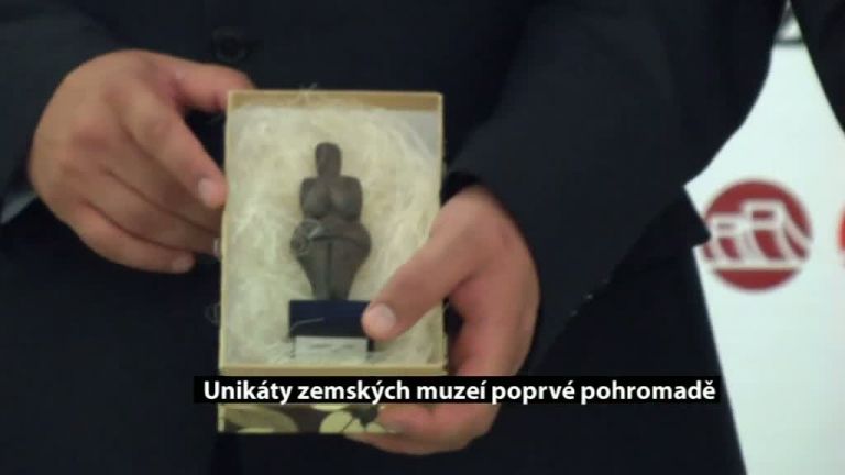 Unikáty zemských muzeí poprvé pohromadě