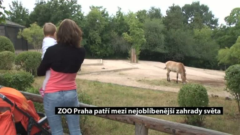 ZOO Praha patří mezi nejoblíbenější zahrady světa
