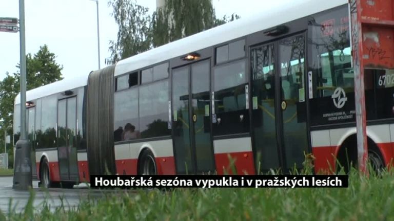 Houbařská sezóna vypukla i v pražských lesích