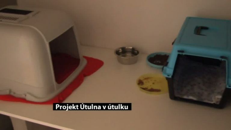 Projekt Útulna v útulku