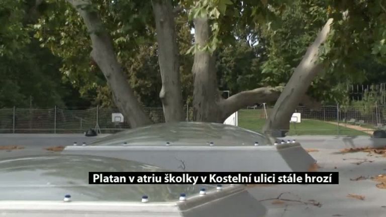 Platan v atriu školky v Kostelní ulici stále hrozí