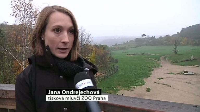 Pražská ZOO připravuje nový domov pro gorily