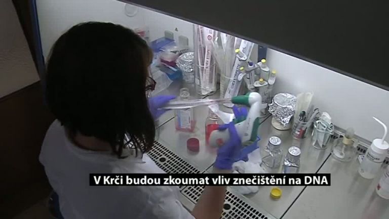 V Krči zkoumají vliv znečištění na DNA