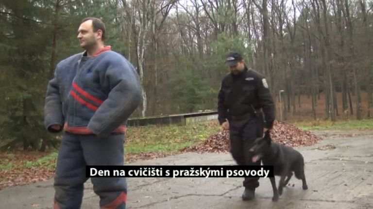 Den na cvičišti s pražskými psovody