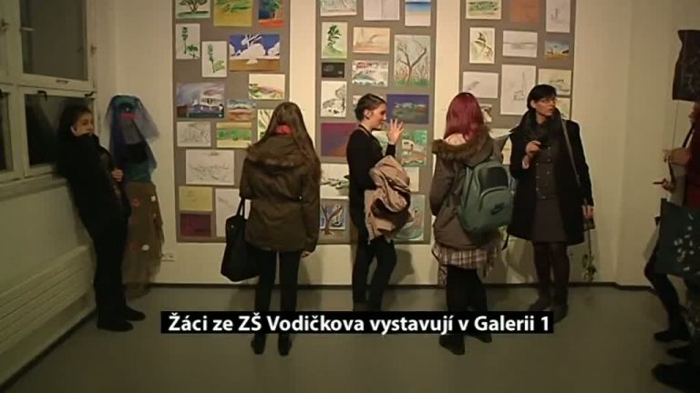 Žáci ze ZŠ Vodičkova vystavují v Galerii 1