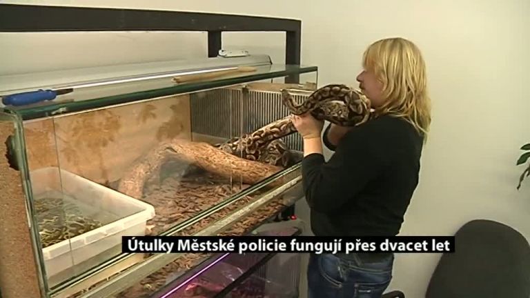 Útulky Městské policie fungují přes dvacet let