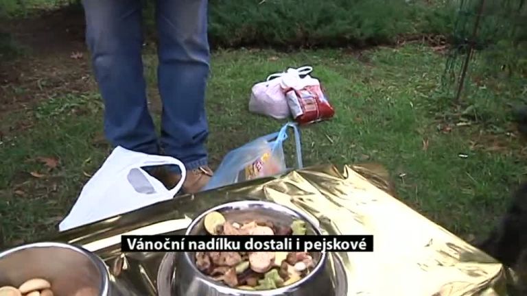 Vánoční nadílku dostali i pejskové