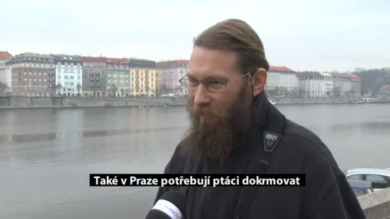 Také v Praze potřebují ptáci dokrmovat