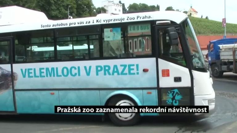 Pražská zoo zaznamenala rekordní návštěvnost